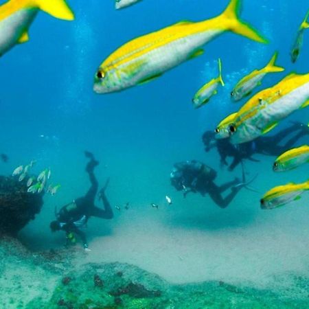Devocean Eco Adventure Lodge Ponta do Ouro Dış mekan fotoğraf