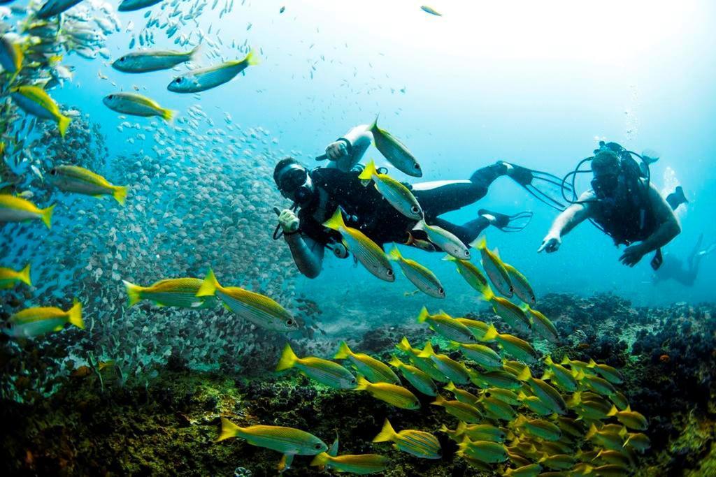 Devocean Eco Adventure Lodge Ponta do Ouro Dış mekan fotoğraf